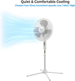 16-Inch Adjustable Pedestal Fan with 3 Speed Settings, 90-Degree Oscillation, and Quiet Operation for Home or Office, White
