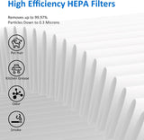 MK06 MK01 True HEPA Replacement Filter for AROEVE MK01 MK06 and Kloudi DH-JH01, Standard Version, Pack of 3